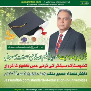 Quality of Education in Undergraduate Degree Programs