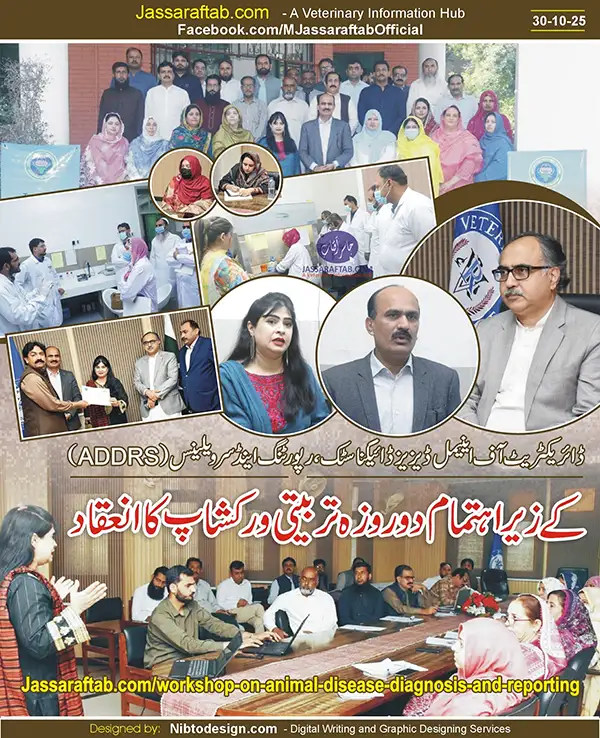 محکمہ لائیوسٹاک میں بیماریوں کی تشخیص اور رپورٹنگ پر ٹریننگ ورکشاپ کا انعقاد