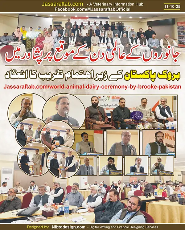 World Animal Day Ceremony by Brooke Pakistan | A Veterinary Information Hub World Animal Day Ceremony by Brooke Pakistan
