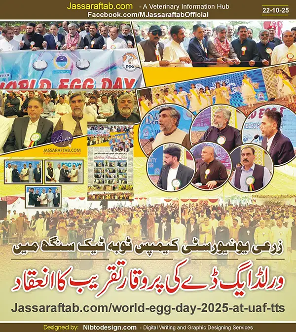 World Egg Day 2025 Ceremony at UAF Toba Tek Singh Campus | A Veterinary Information Hub World Egg Day 2025 Ceremony at UAF Toba Tek Singh Campus