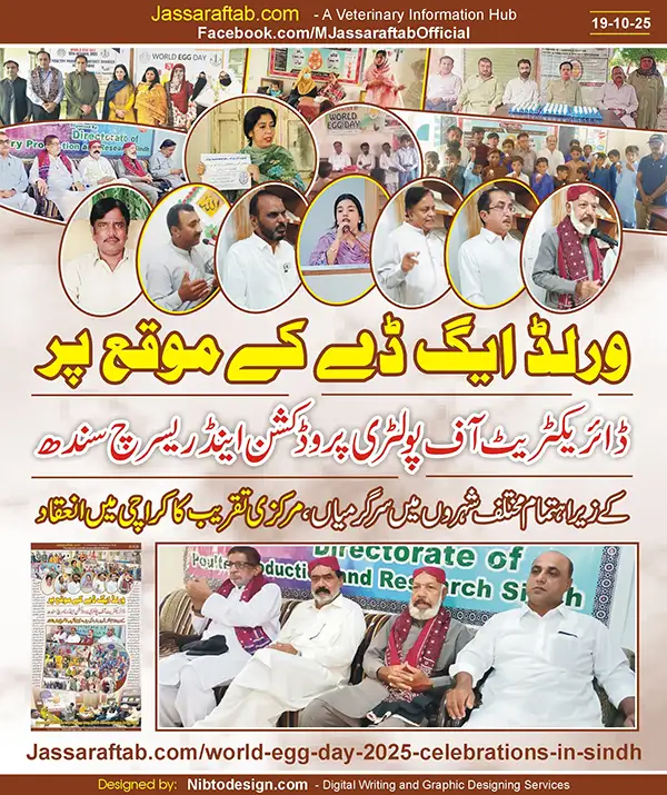 World Egg Day 2025 by Directorate of Poultry Production and Research Sindh | A Veterinary Information Hub World Egg Day 2025 by Directorate of Poultry Production and Research Sindh