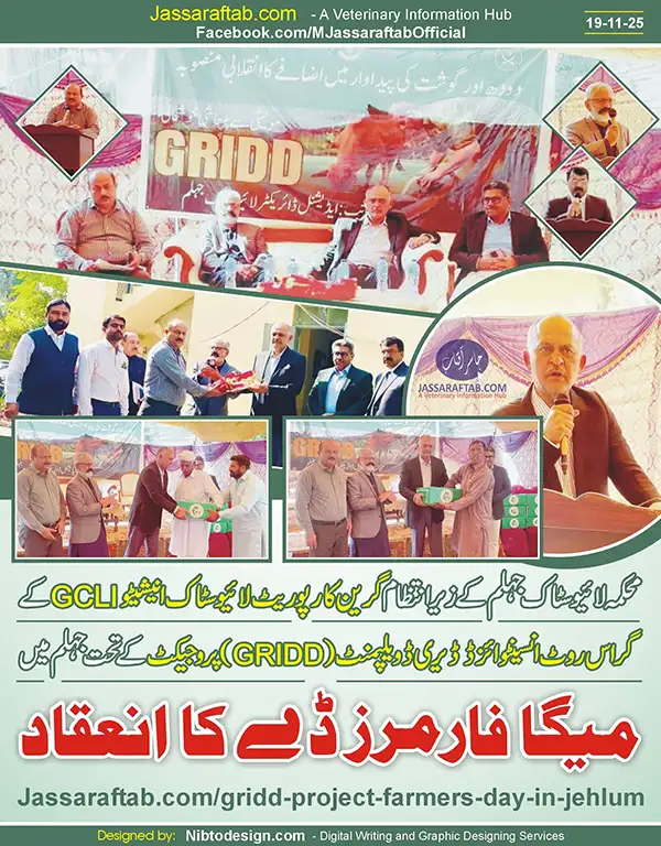 گرِڈ منصوبے کے تحت جہلم میں میگا فارمرز ڈے کا انعقاد