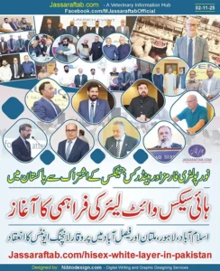 Hisex White in Pakistan by Hendrix Genetics for Layer Farms