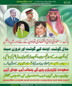 Pakistan Camel Meat Export and Pak Saudi Economic Cooperation