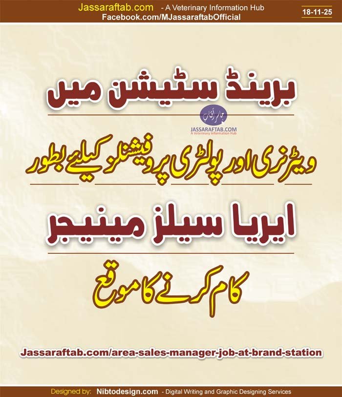 Area Sales Manager Job at Brand Station