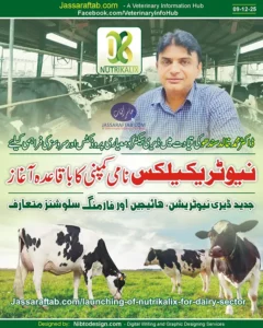 Dairy Farming Company of Dr Muhammad Khalid Sandhu