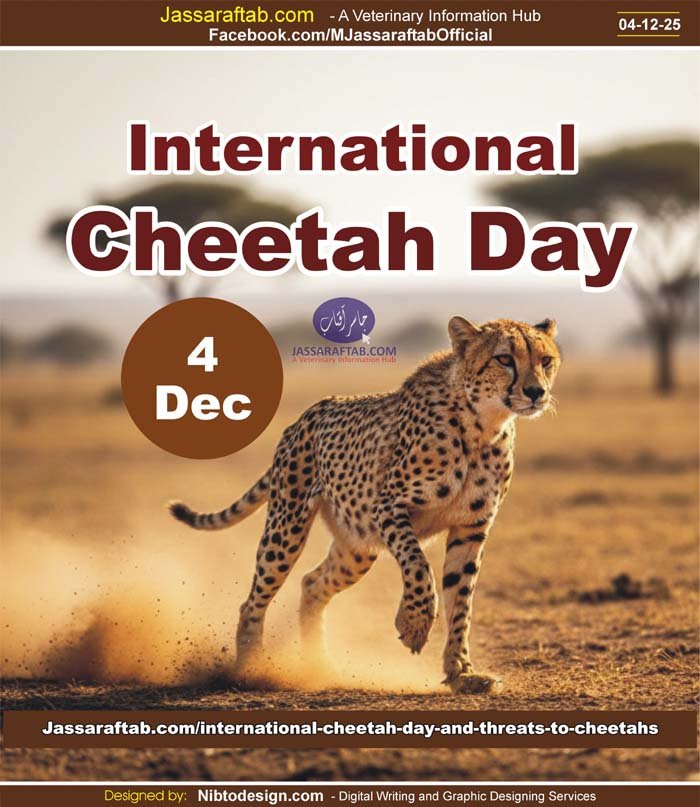 International Cheetah Day and Major Threats to Cheetahs