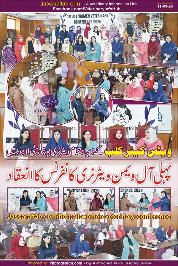 Lady Vets Conference