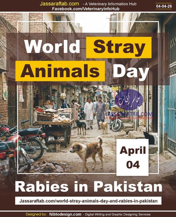 World Stray Animals Day and Rabies in Pakistan and Rabies Prevention and one health approach