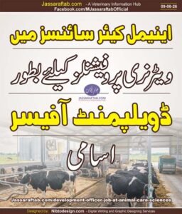 Urdu information poster about dairy cattle farming, featuring cows in a barn with bold yellow headlines and veterinary care text