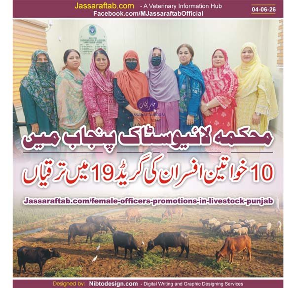 Female Officers Promotions in Livestock Punjab from Senior Veterinary Officers to Additional Principal Veterinary Officer_wm