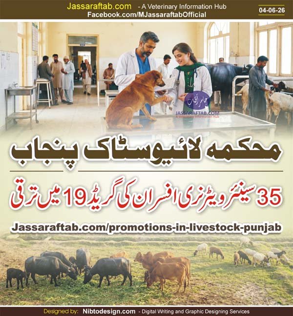 Promotions in Livestock Punjab from Senior Veterinary Officers to Additional principal Veterinary officers including female officers